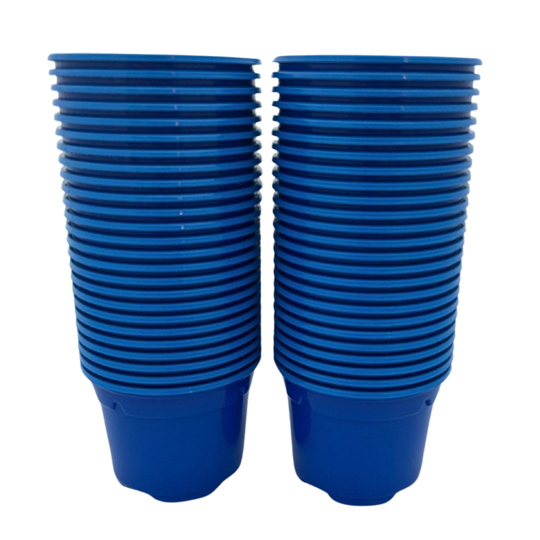 Bramley & Sage 9cm Blue Coloured Pots - set of 25