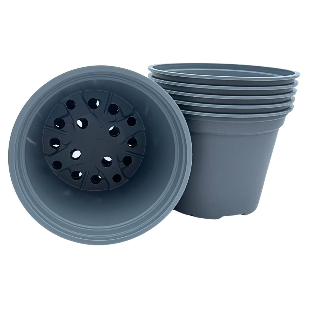 Bramley & Sage 17cm 2 litre Grey Pots - Choose Quantity