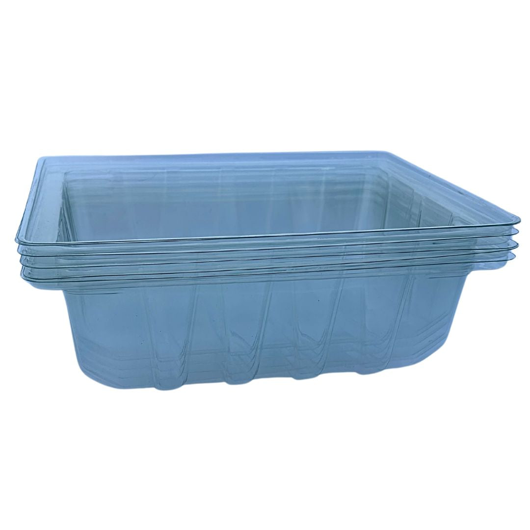 Bramley & Sage Half-Size Propagator Lid (Set of 6)