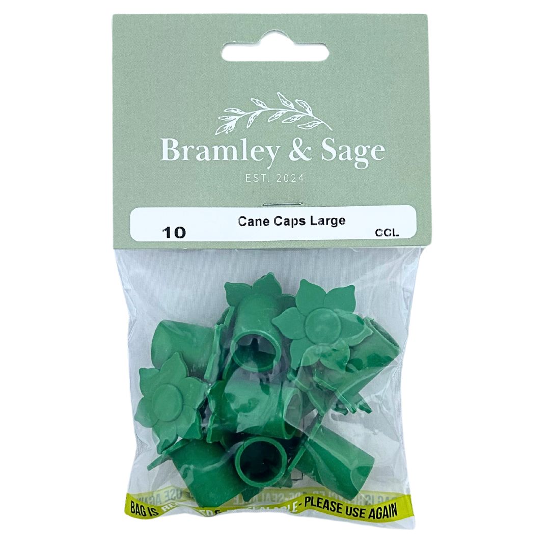 Bramley & Sage Large Cane Caps (pack of 10)
