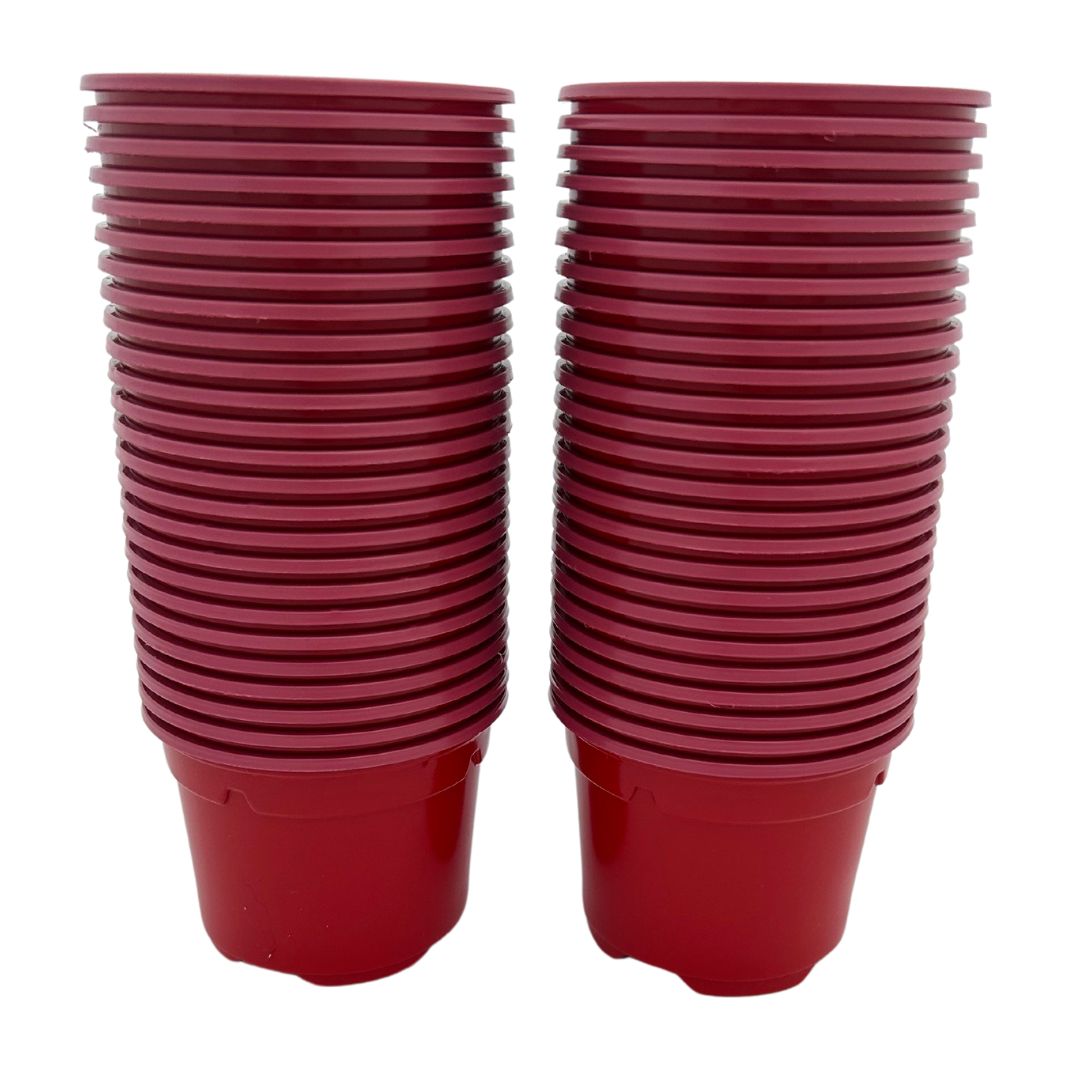 Bramley & Sage 9cm Red Coloured Pots (Set of 25)