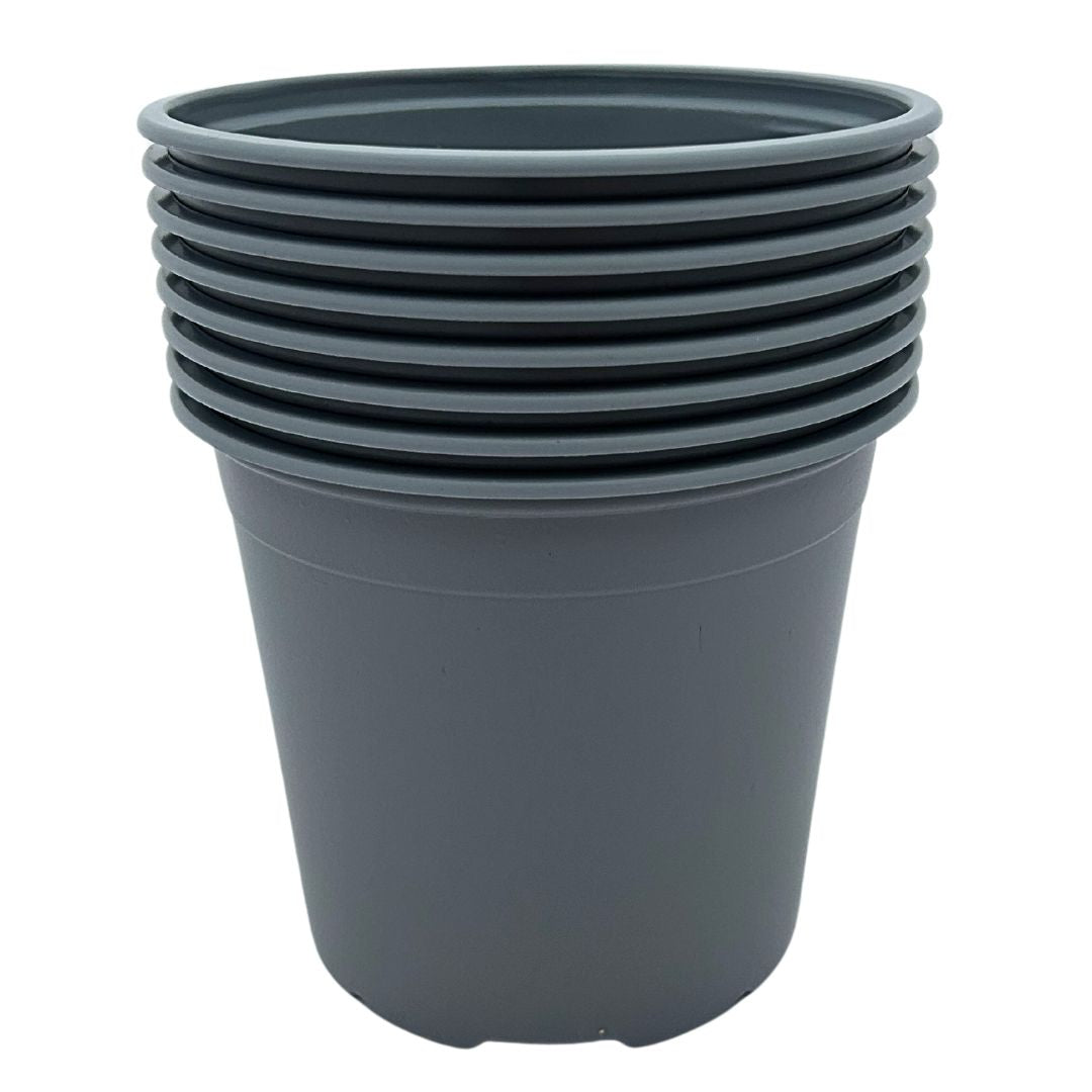 Bramley & Sage 13cm 1 litre Grey Pots - Choose Quantity