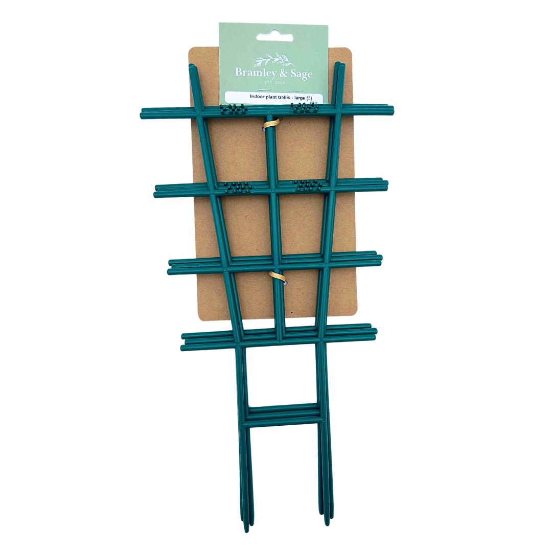 Bramley & Sage Indoor Plant Trellis 22cm x 42cm (pack of 3)