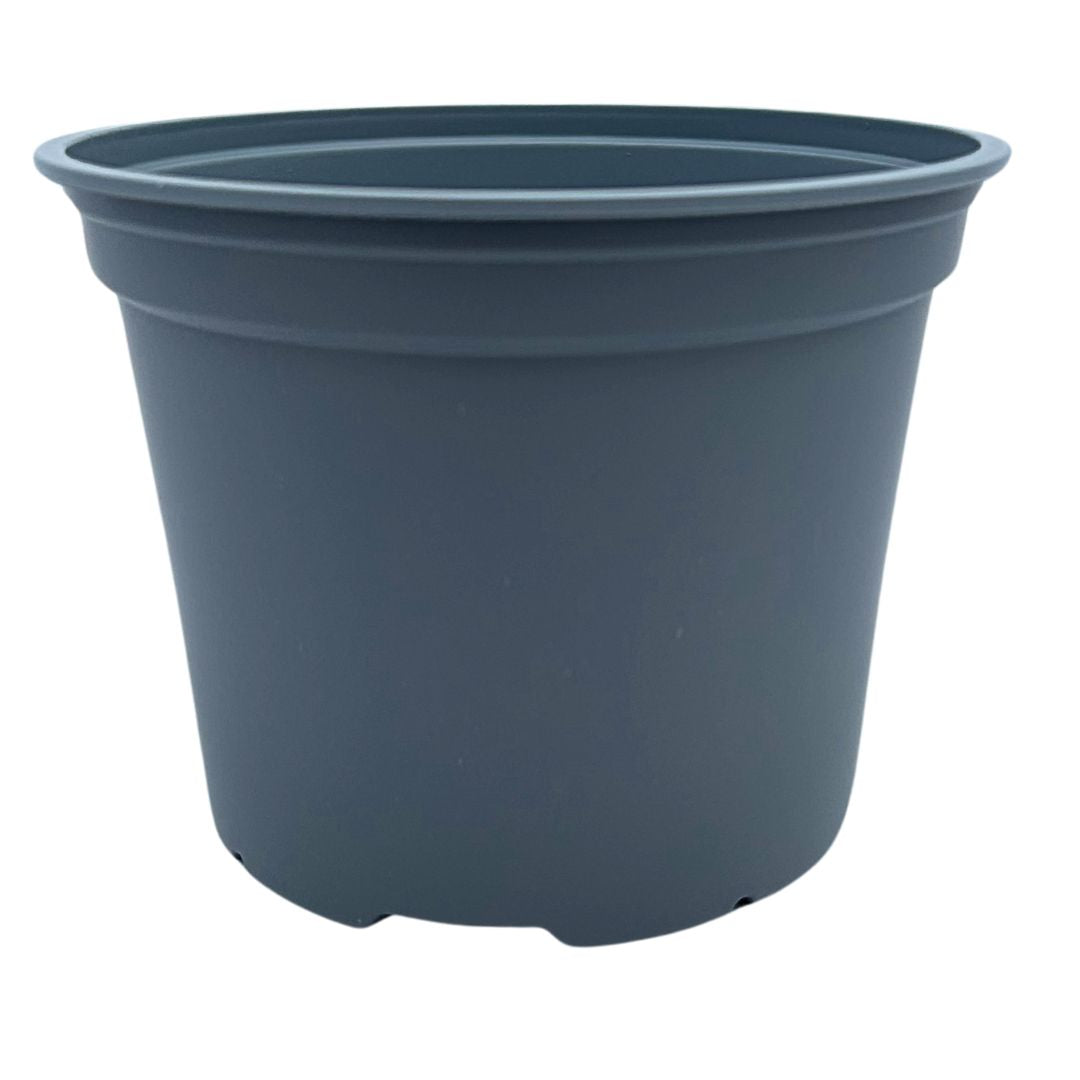 Bramley & Sage 17cm 2 litre Grey Pots - Choose Quantity