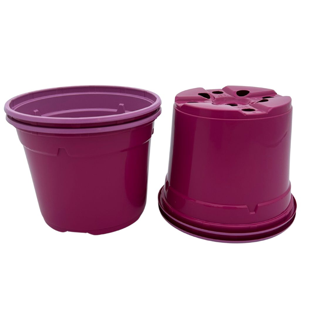 Bramley & Sage 12cm Fuchsia Pink Coloured Pots - set of 25