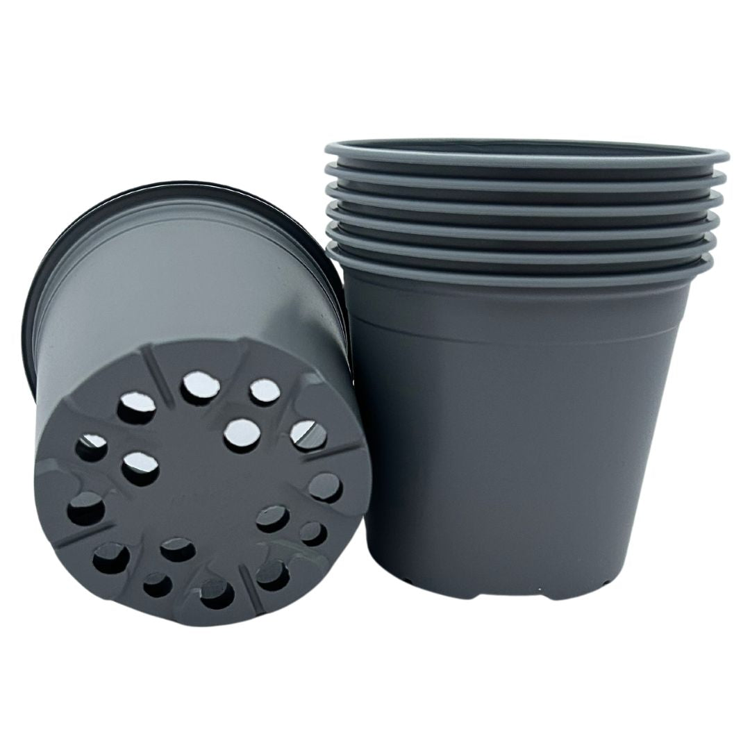 Bramley & Sage 13cm 1 litre Grey Pots - Choose Quantity