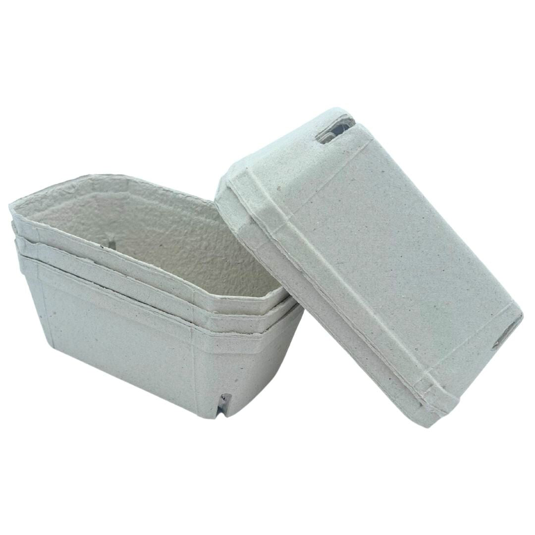 Bramley & Sage 500g Biodegradable Fibre Fruit Punnets