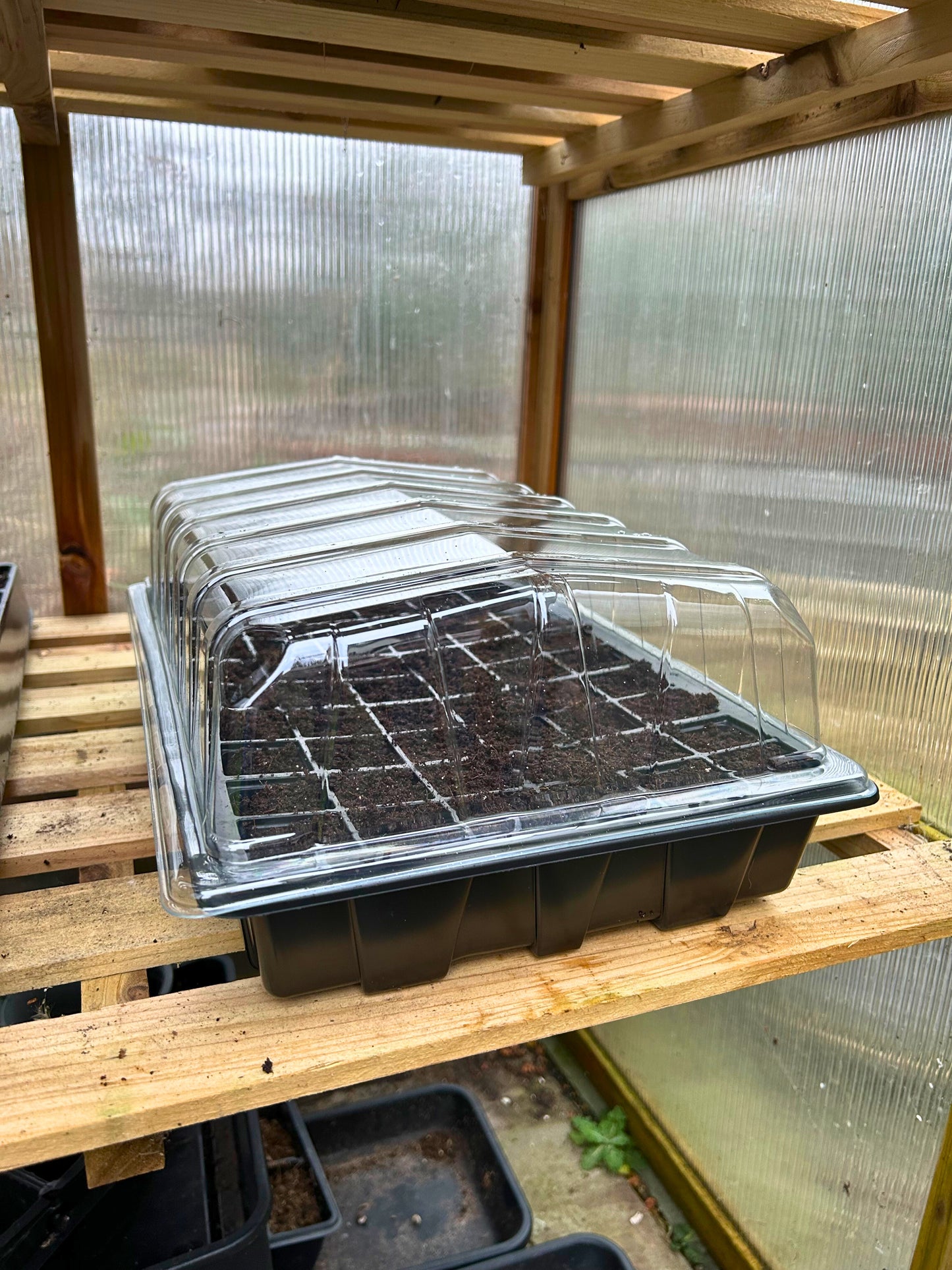 Bramley & Sage Seed Tray Inserts - Choose Cell Quantity (Set of 6)