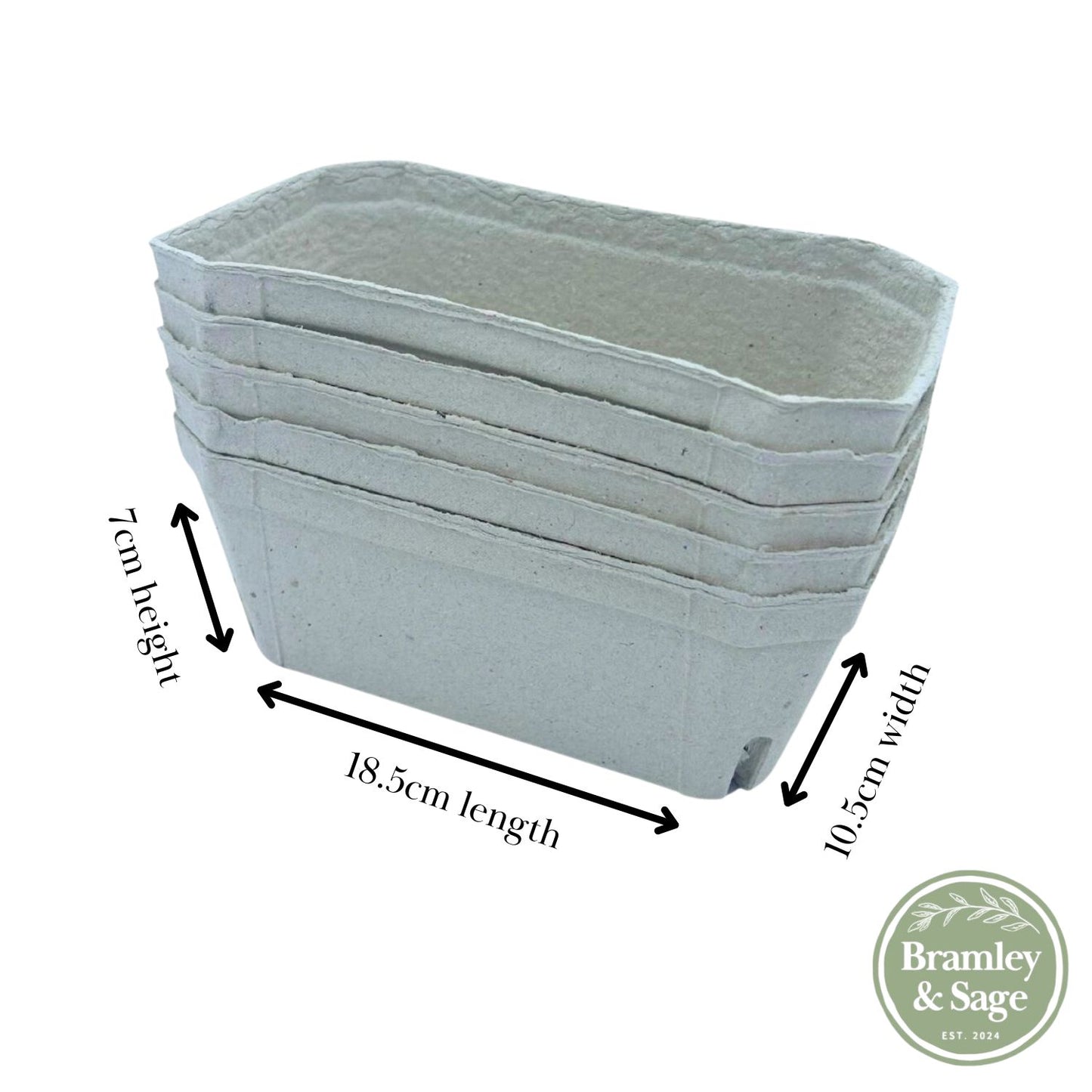Bramley & Sage 500g Biodegradable Fibre Fruit Punnets