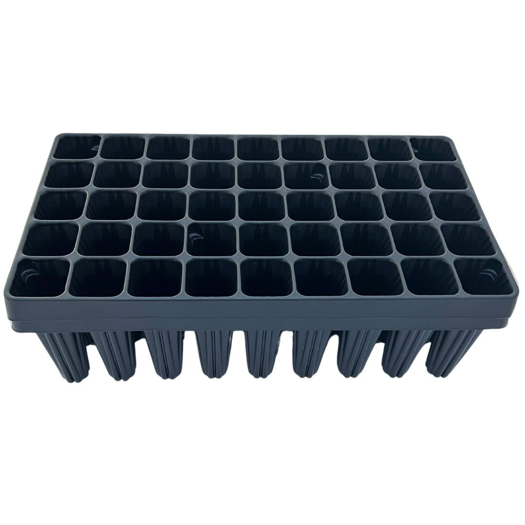 Bramley & Sage 60 Extra Large Cell Root Grower - set of 2
