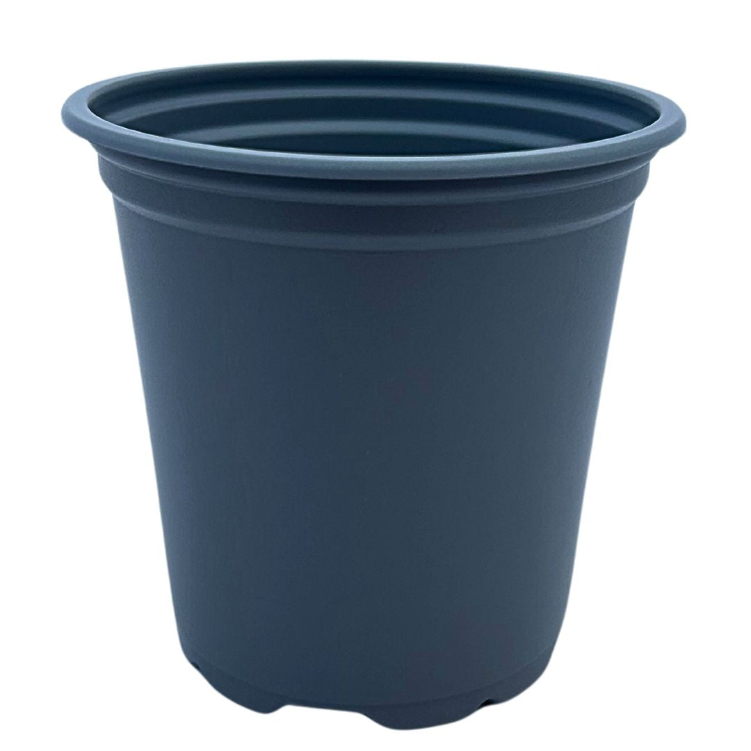 Bramley & Sage 9cm Grey Pots - Choose Quantity