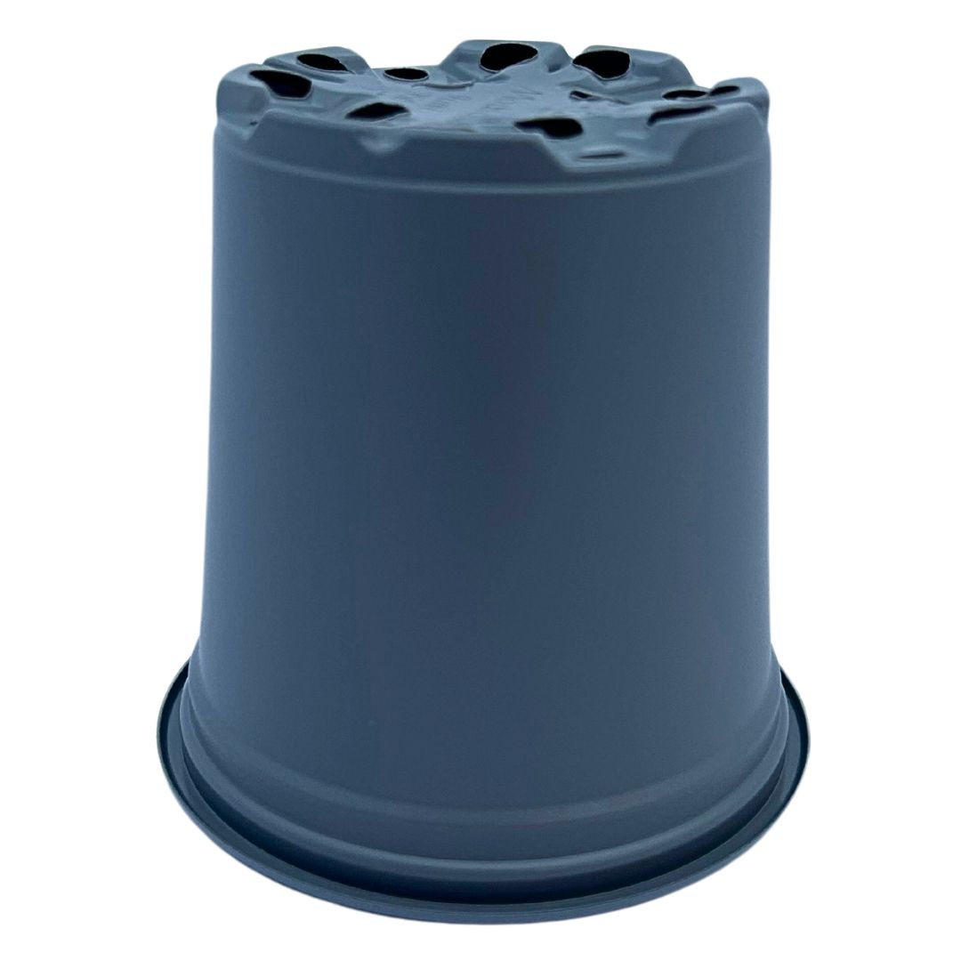 Bramley & Sage 9cm Grey Pots - Choose Quantity