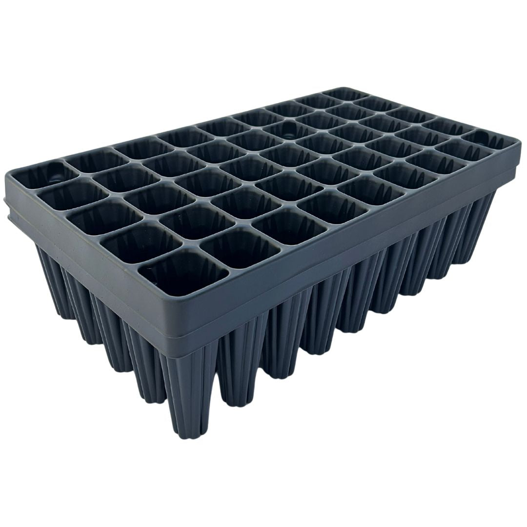 Bramley & Sage 60 Extra Large Cell Root Grower - set of 2