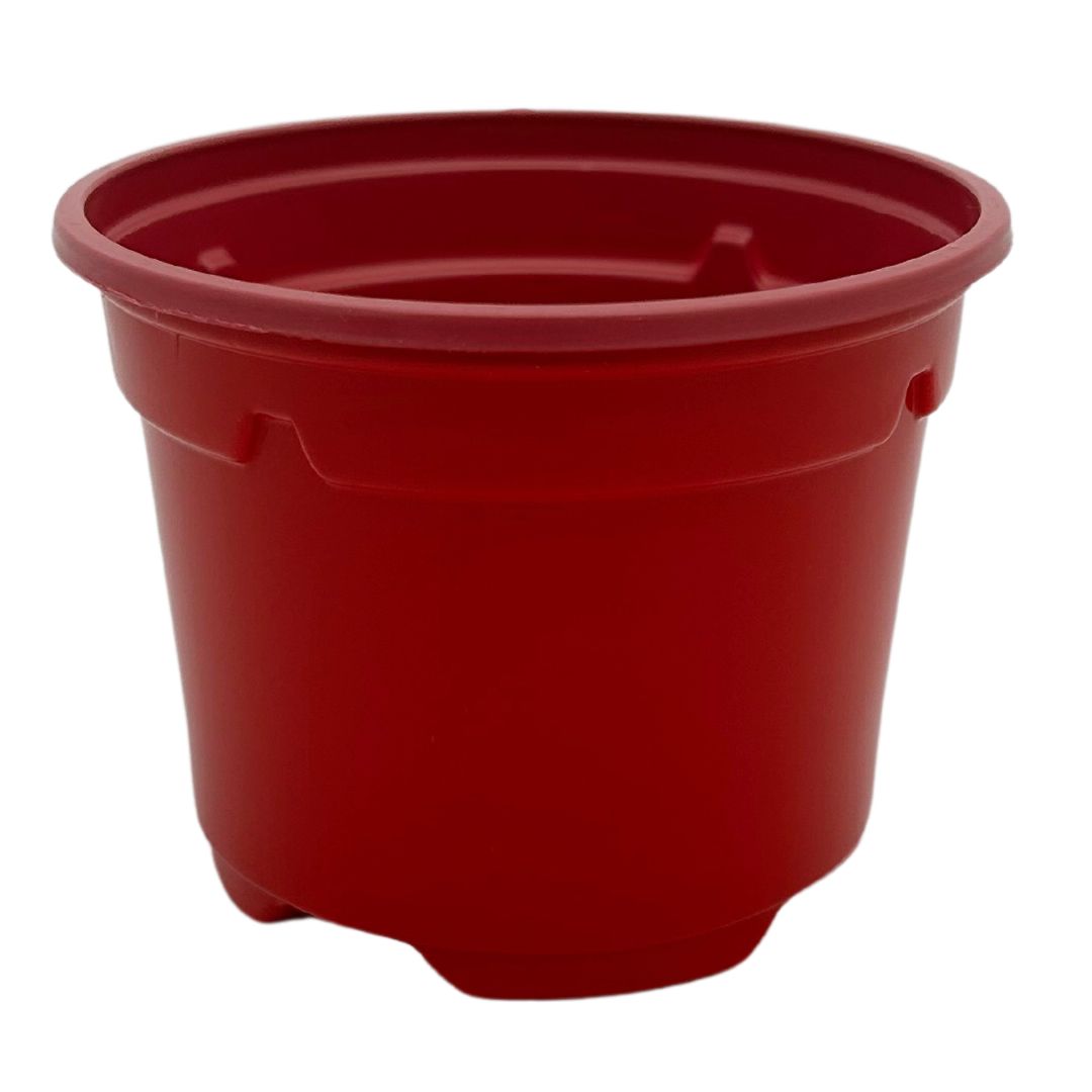 Bramley & Sage 9cm Red Coloured Pots (Set of 25)
