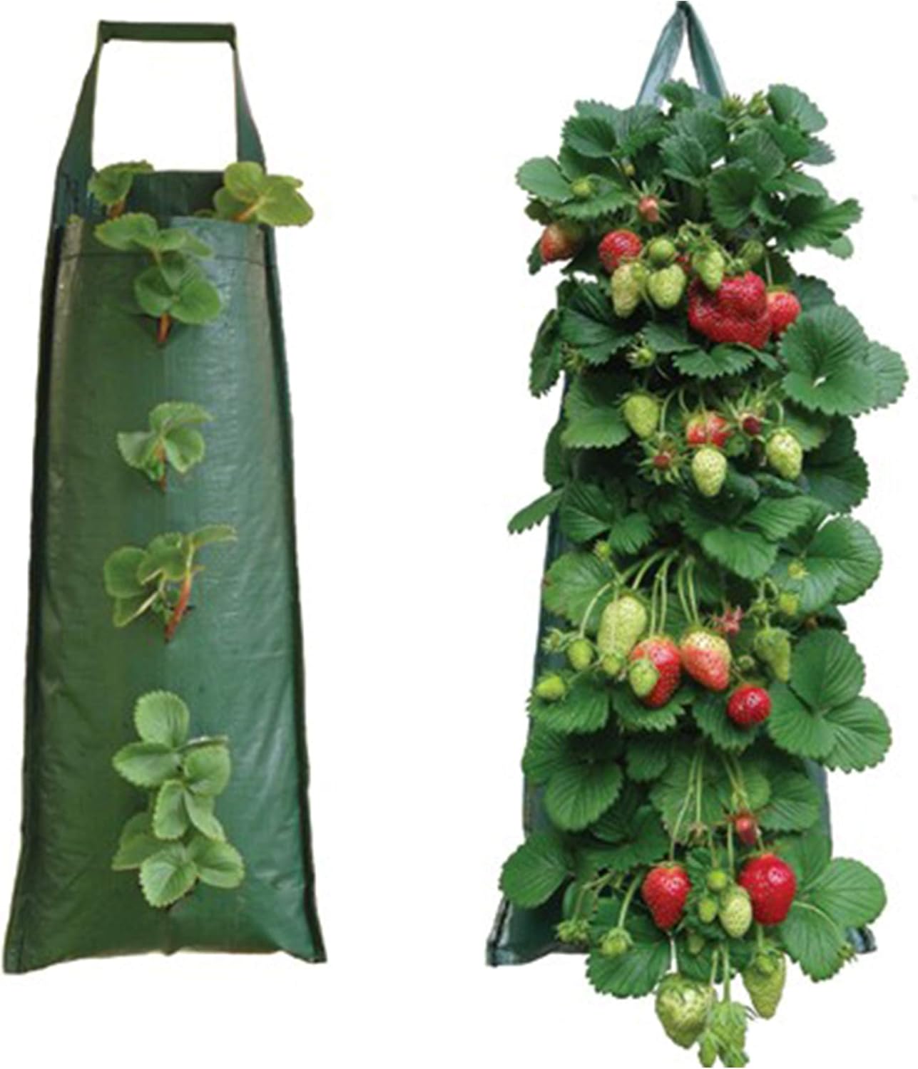 Bramley & Sage Hanging Plant Pouch (Pack of 2)