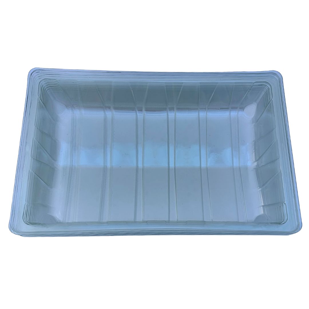 Bramley & Sage Full-Size Propagator Lid (Set of 6)