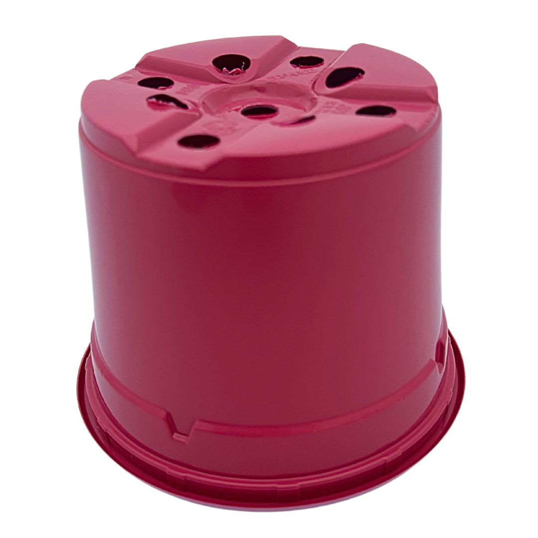 Bramley & Sage 12cm Fuchsia Pink Coloured Pots - set of 25
