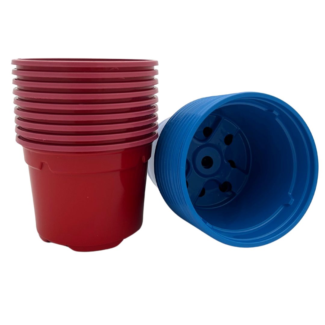 Bramley & Sage 9cm Coloured Pots of Red and Blue - set of 100