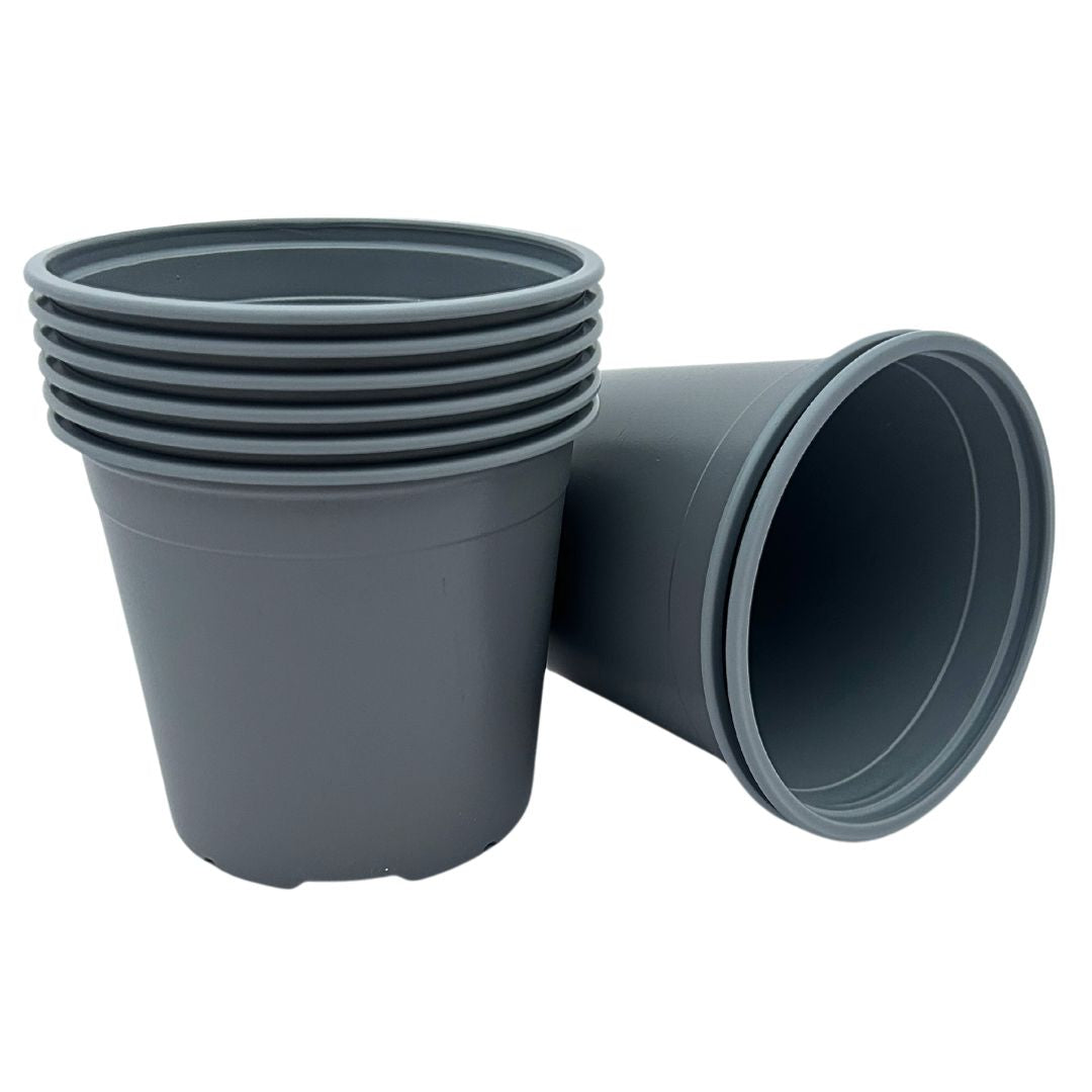Bramley & Sage 13cm 1 litre Grey Pots - Choose Quantity