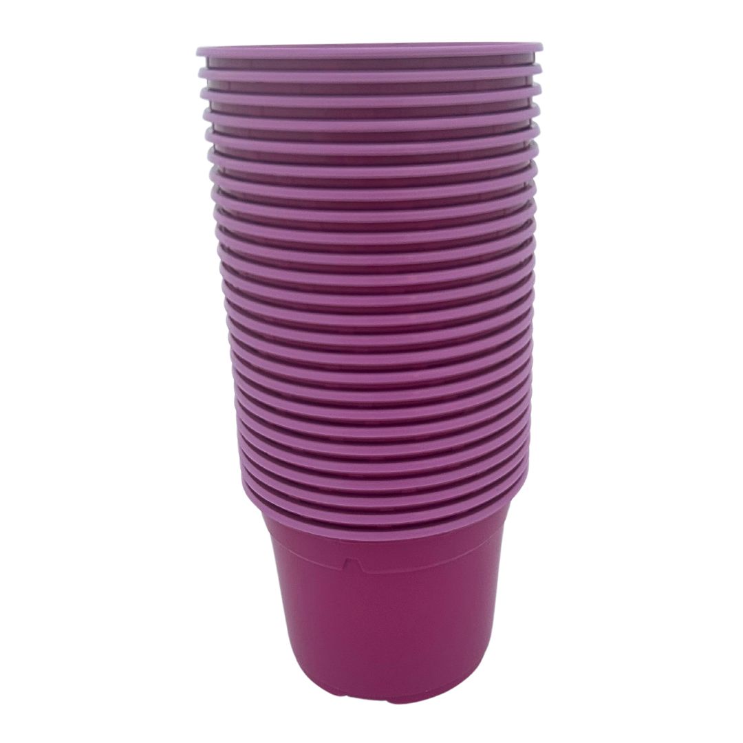 Bramley & Sage 12cm Fuchsia Pink Coloured Pots - set of 25