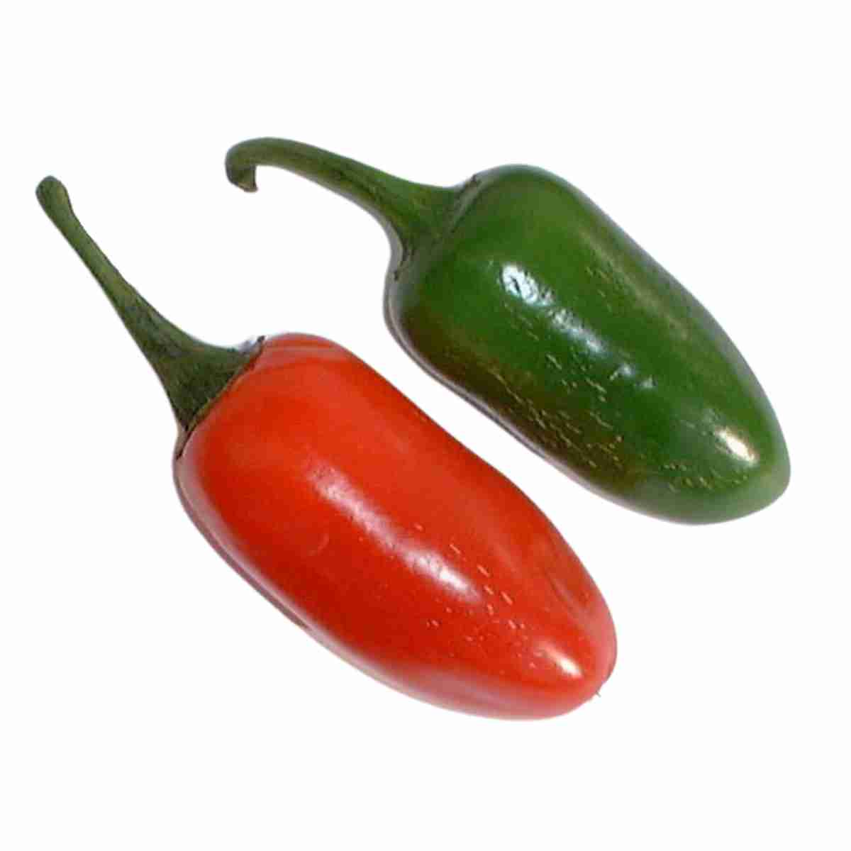 Bramley & Sage Jalapeno Hot Chilli Pepper Seeds – 10 seeds pp.