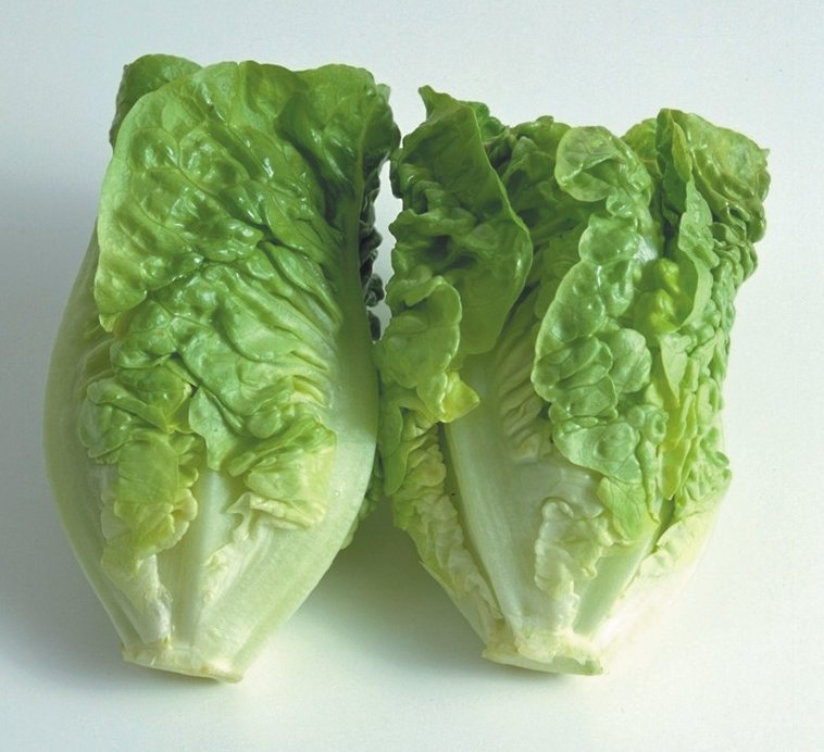 Bramley & Sage Little Gem Lettuce Seeds – approx. 200 seeds pp.