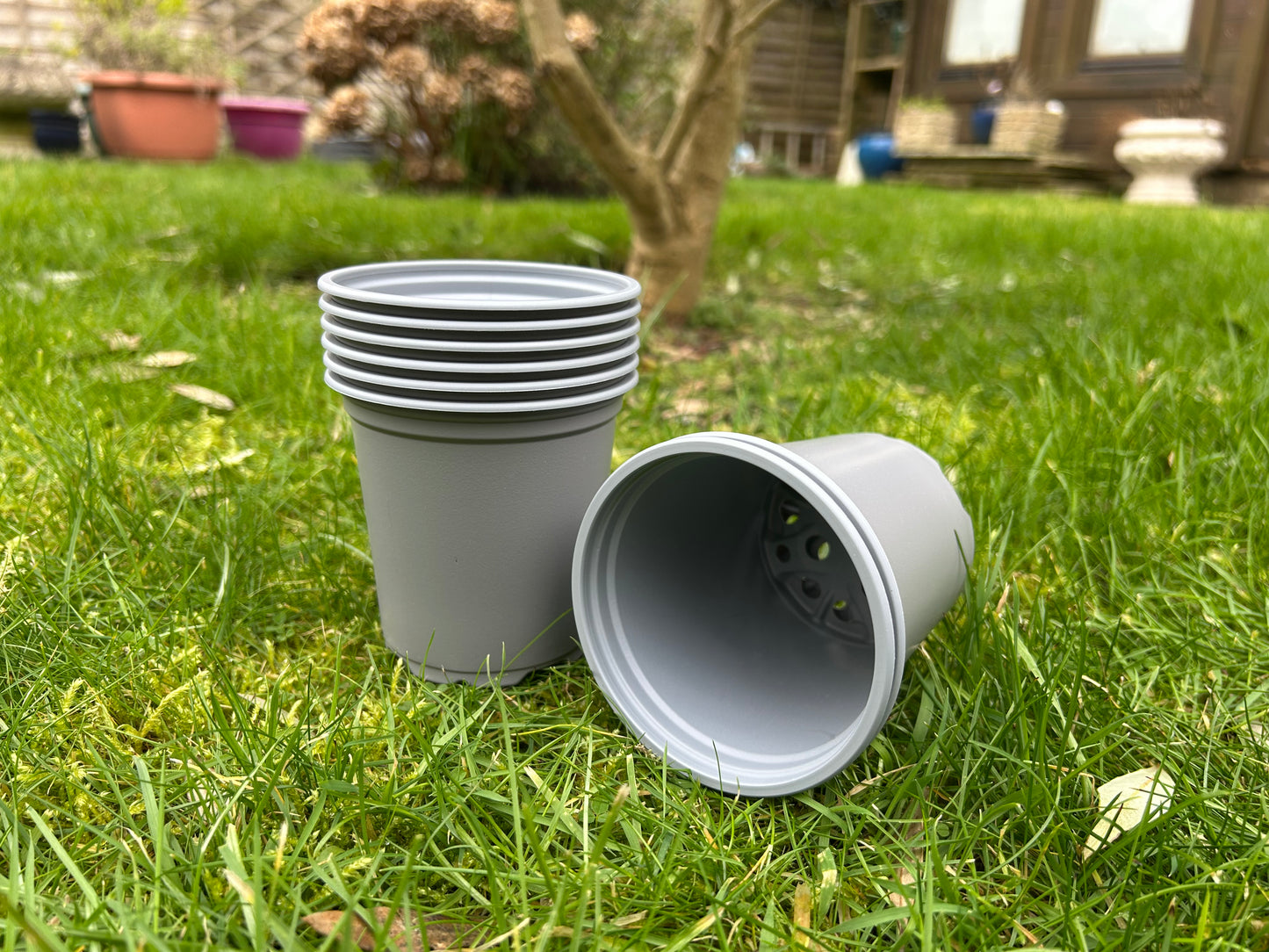 Bramley & Sage 9cm Grey Pots - Choose Quantity