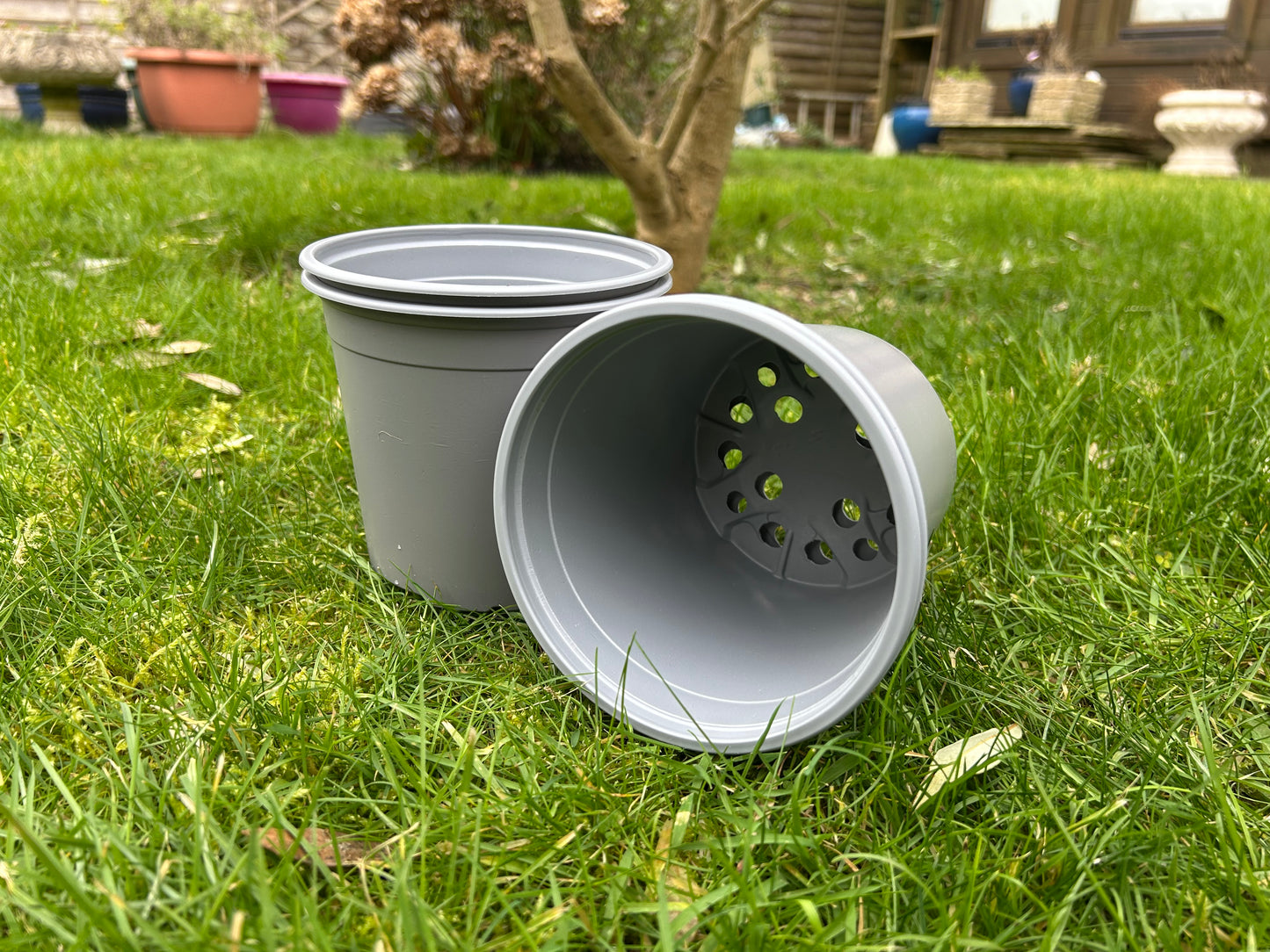 Bramley & Sage 13cm 1 litre Grey Pots - Choose Quantity