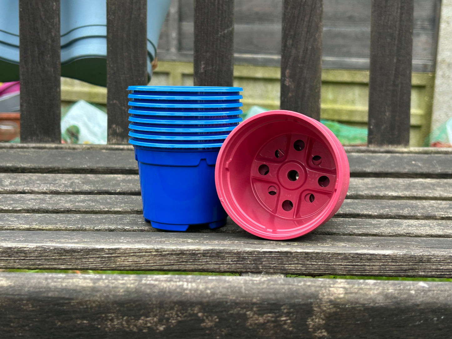 Bramley & Sage 9cm Blue Coloured Pots - set of 25