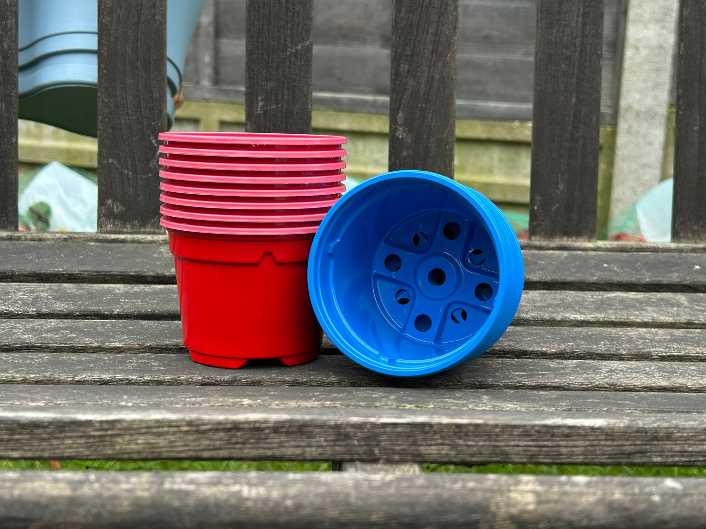 Bramley & Sage 9cm Red Coloured Pots (Set of 25)