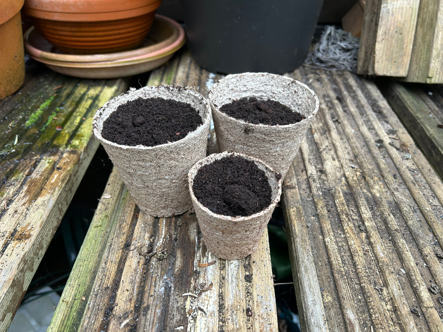 Bramley & Sage 6cm Round Peat-Free Fibre Jiffy Plant Pots (Pack of 50)