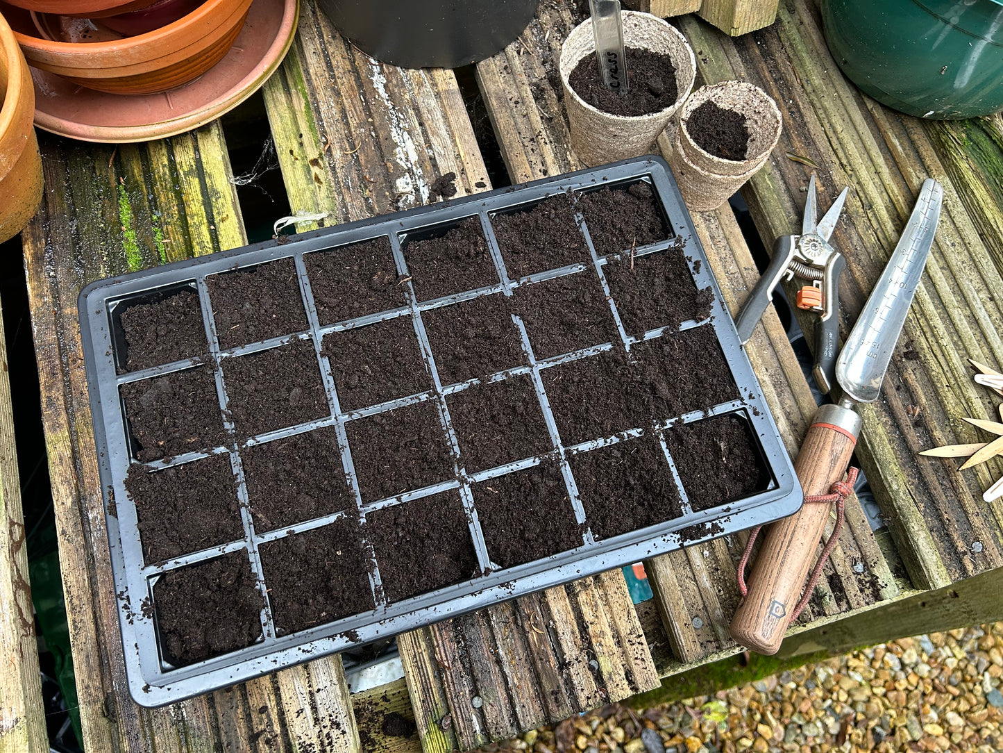 Bramley & Sage Full-Size Heavyweight Seed Tray With Holes (Set of 6)