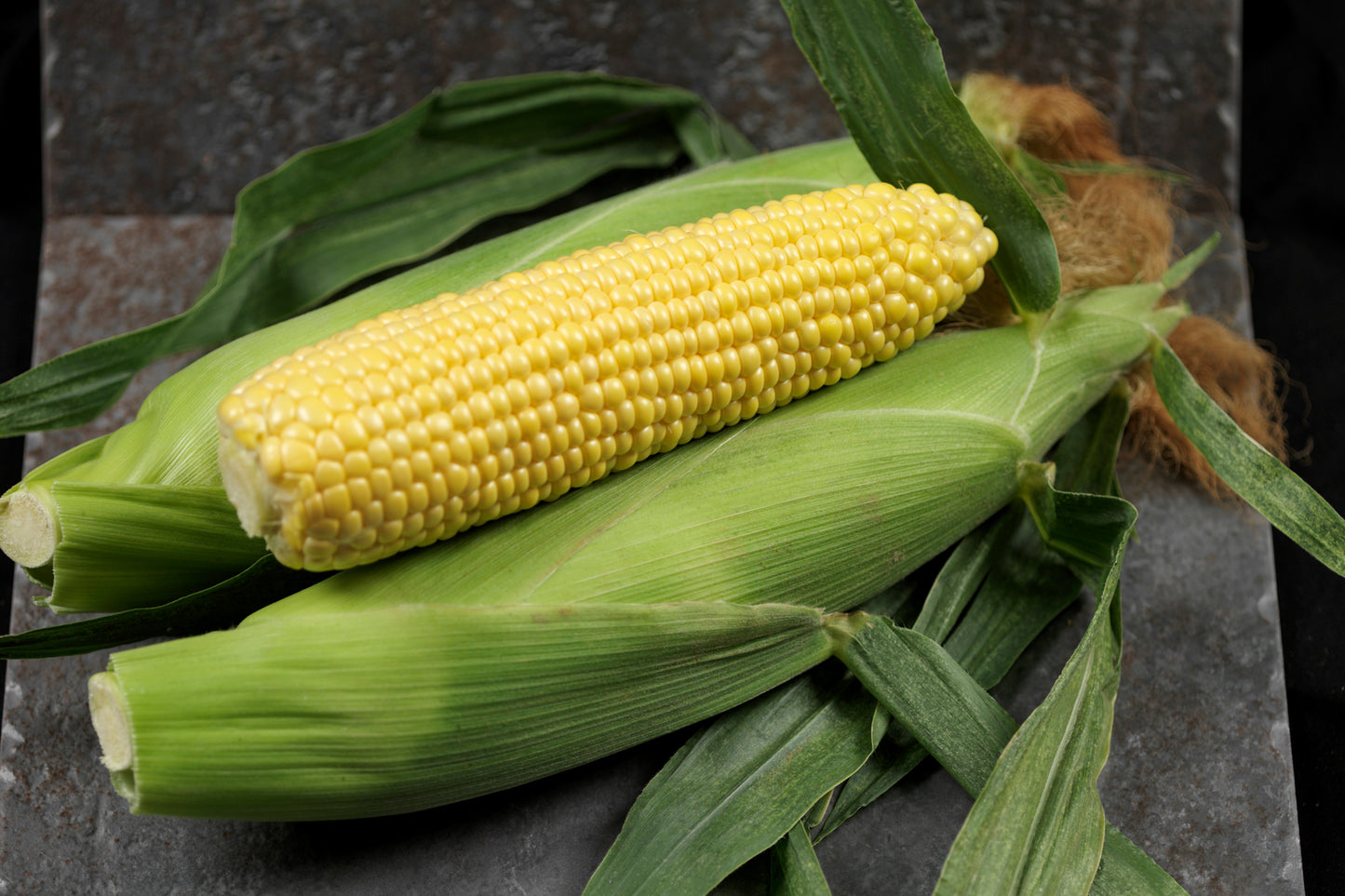Bramley & Sage F1 Golden Hind Sweetcorn Seeds – 25 seeds pp.