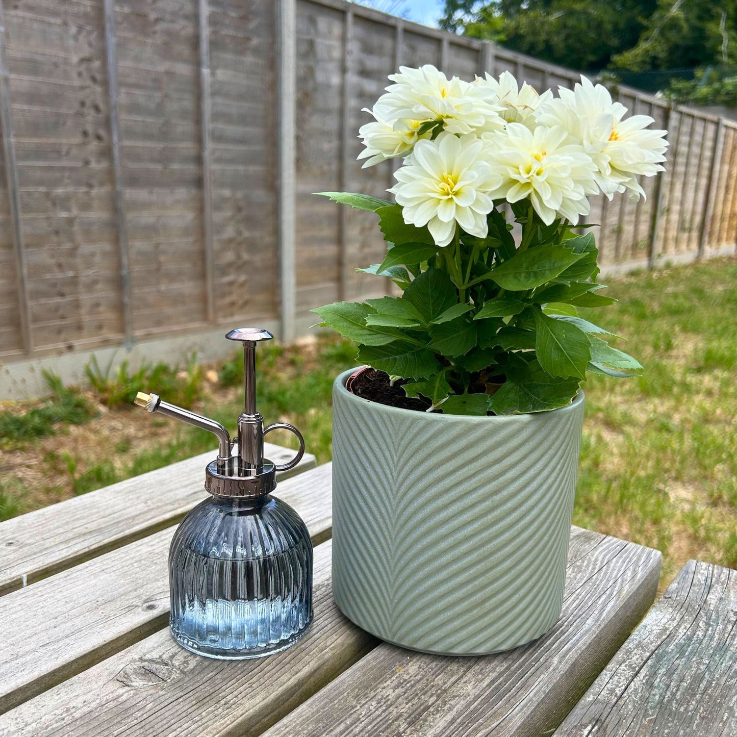 Smart Garden 250ml Glass Plant Mister