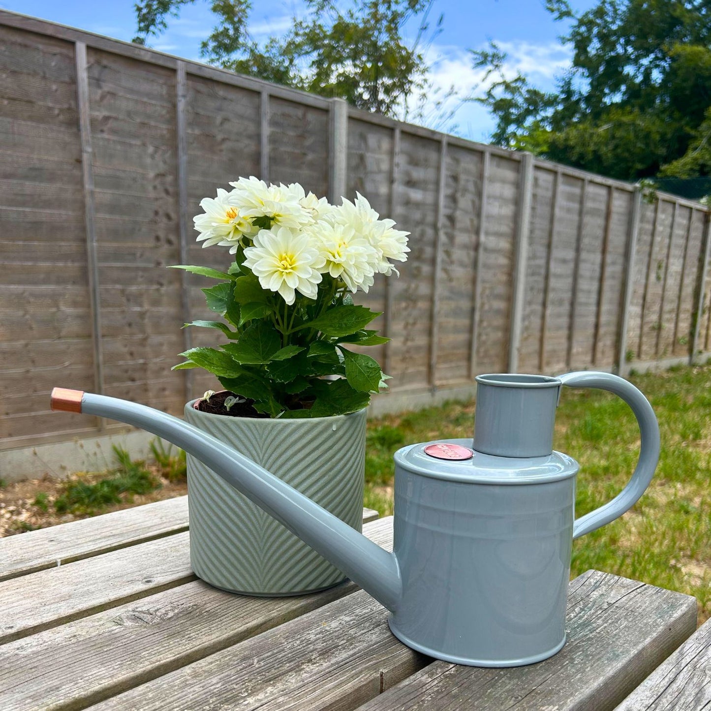 Smart Garden 1l Metal Watering Can – Slate