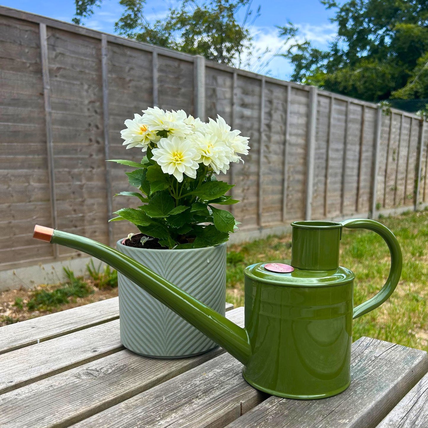 Smart Garden 1 Litre Metal Watering Can - Green