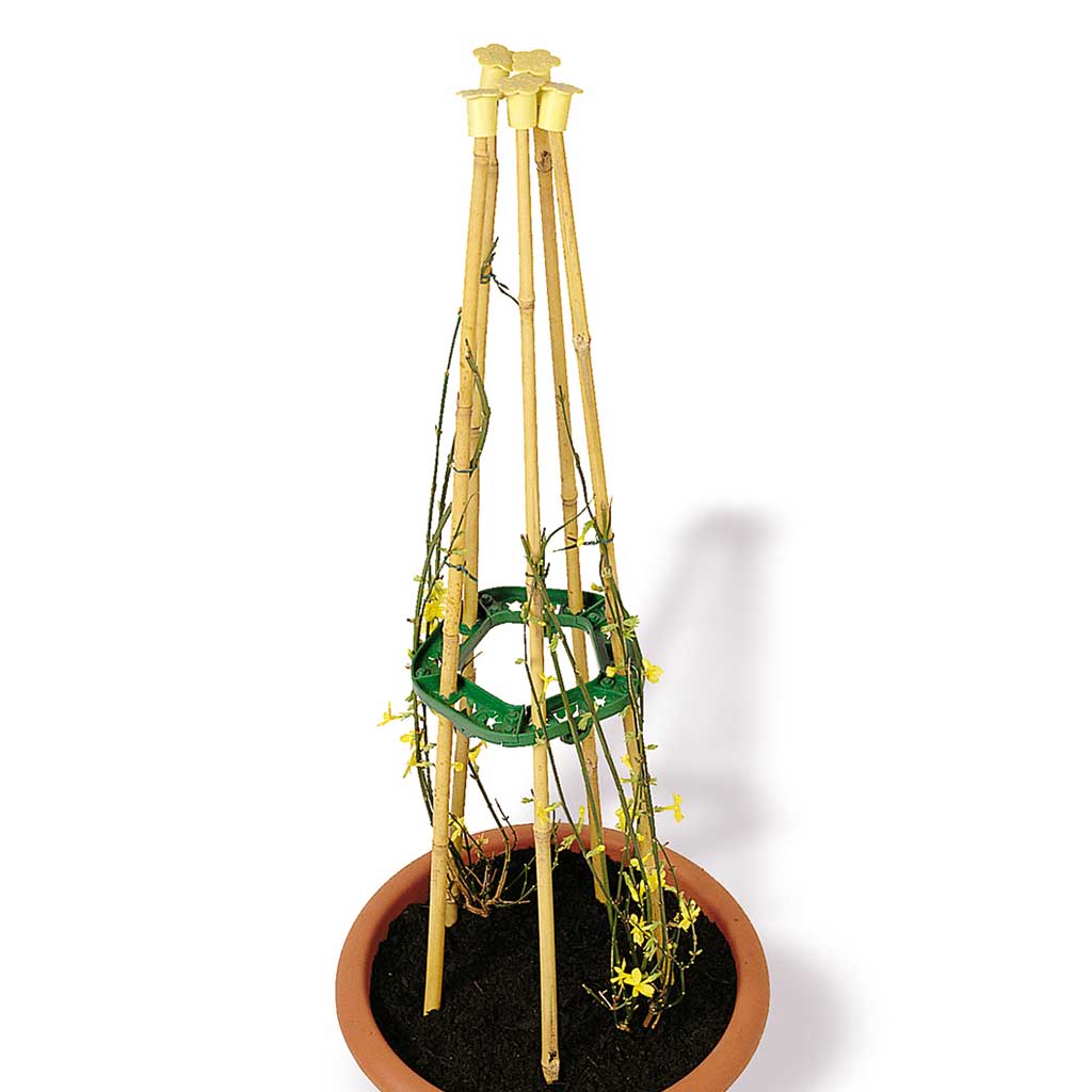 Bramley & Sage Wigwam Grips Garden Support (One Grip made of 5 pieces)