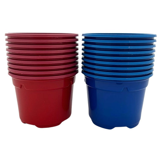 Bramley & Sage 9cm Coloured Pots of Red and Blue - set of 100