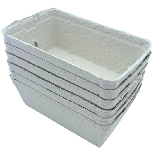 Bramley & Sage 250g Biodegradable Fibre Fruit Punnets