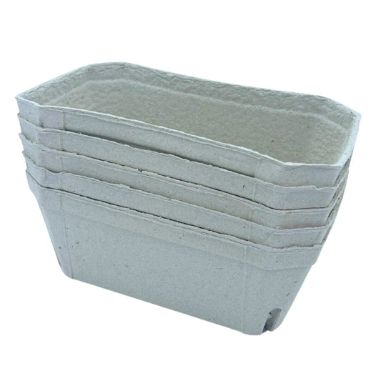 Bramley & Sage 500g Biodegradable Fibre Fruit Punnets