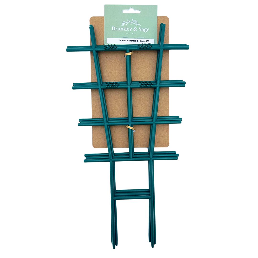 Bramley & Sage Indoor Plant Trellis 22cm x 42cm (pack of 3)