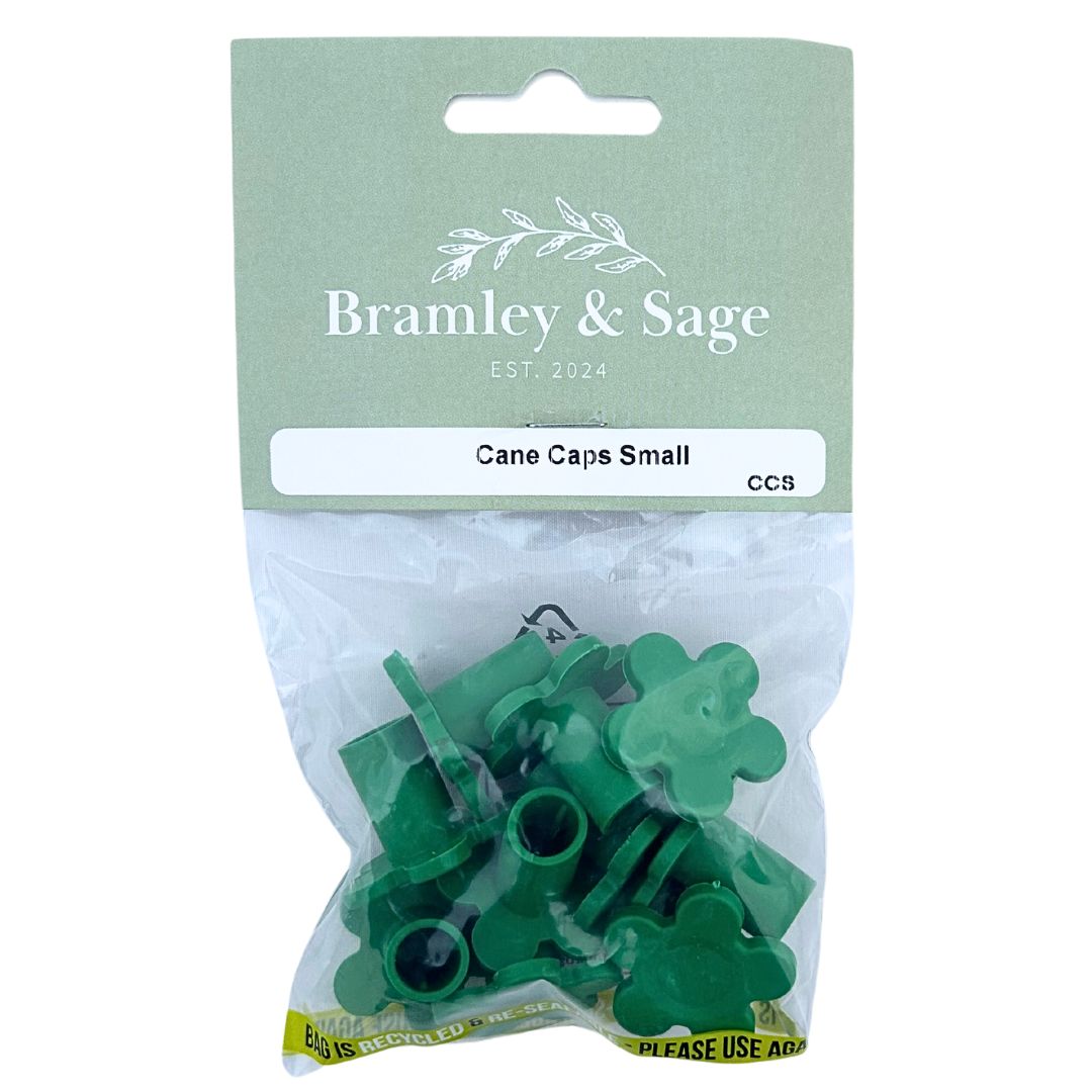 Bramley & Sage Small Cane Caps (pack of 10)