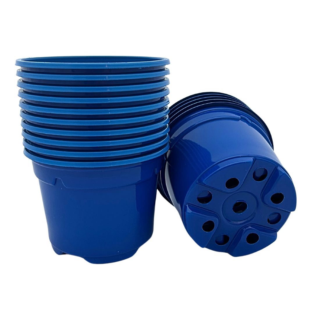 Bramley & Sage 9cm Blue Coloured Pots - set of 25