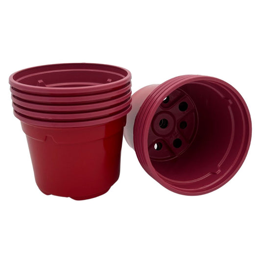 Bramley & Sage 9cm Red Coloured Pots (Set of 25)