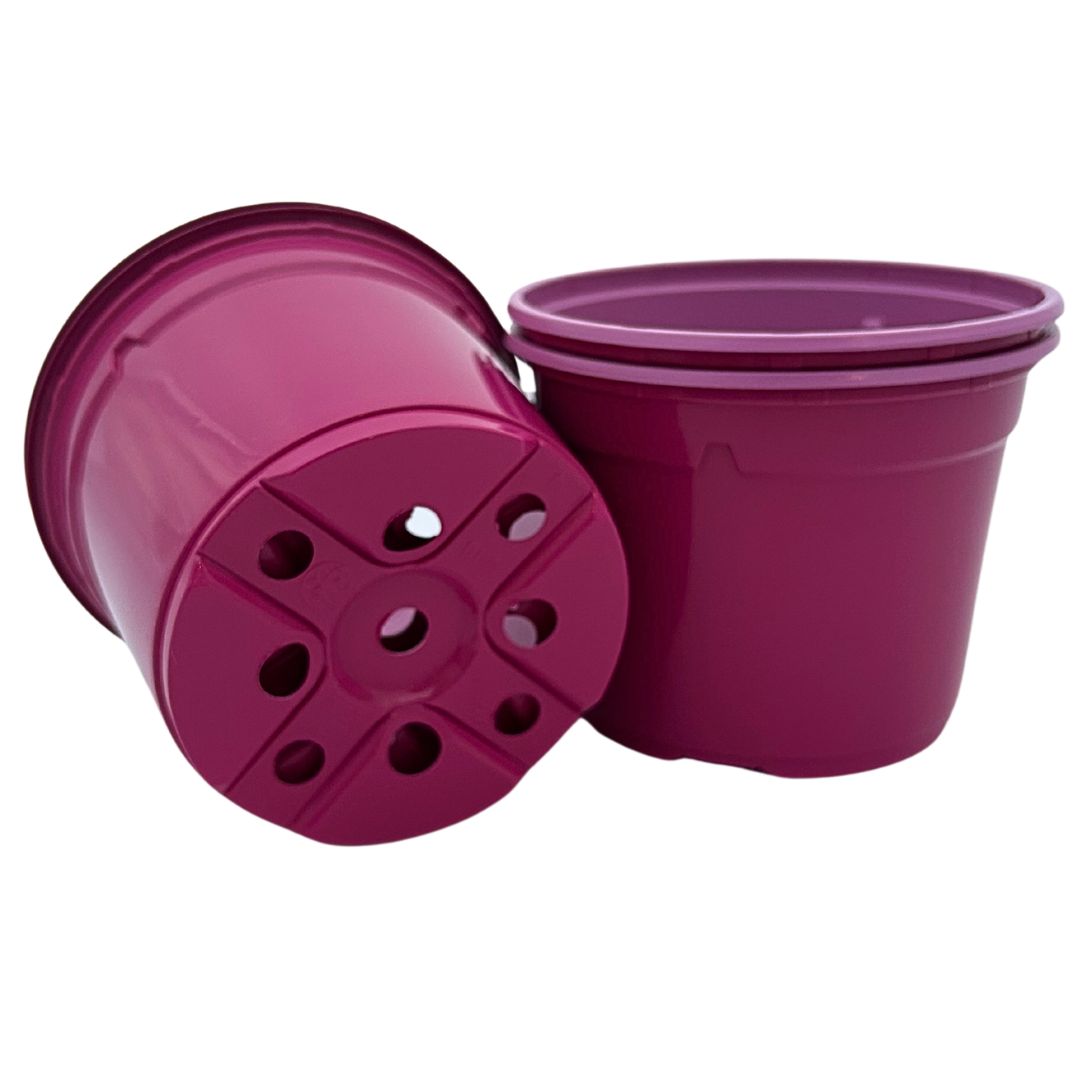 Bramley & Sage 12cm Fuchsia Pink Coloured Pots - set of 25