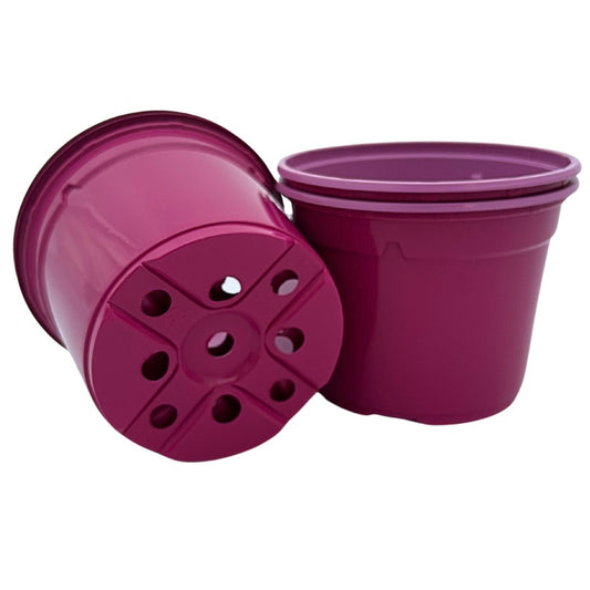 Bramley & Sage 12cm Fuchsia Pink Coloured Pots - set of 25