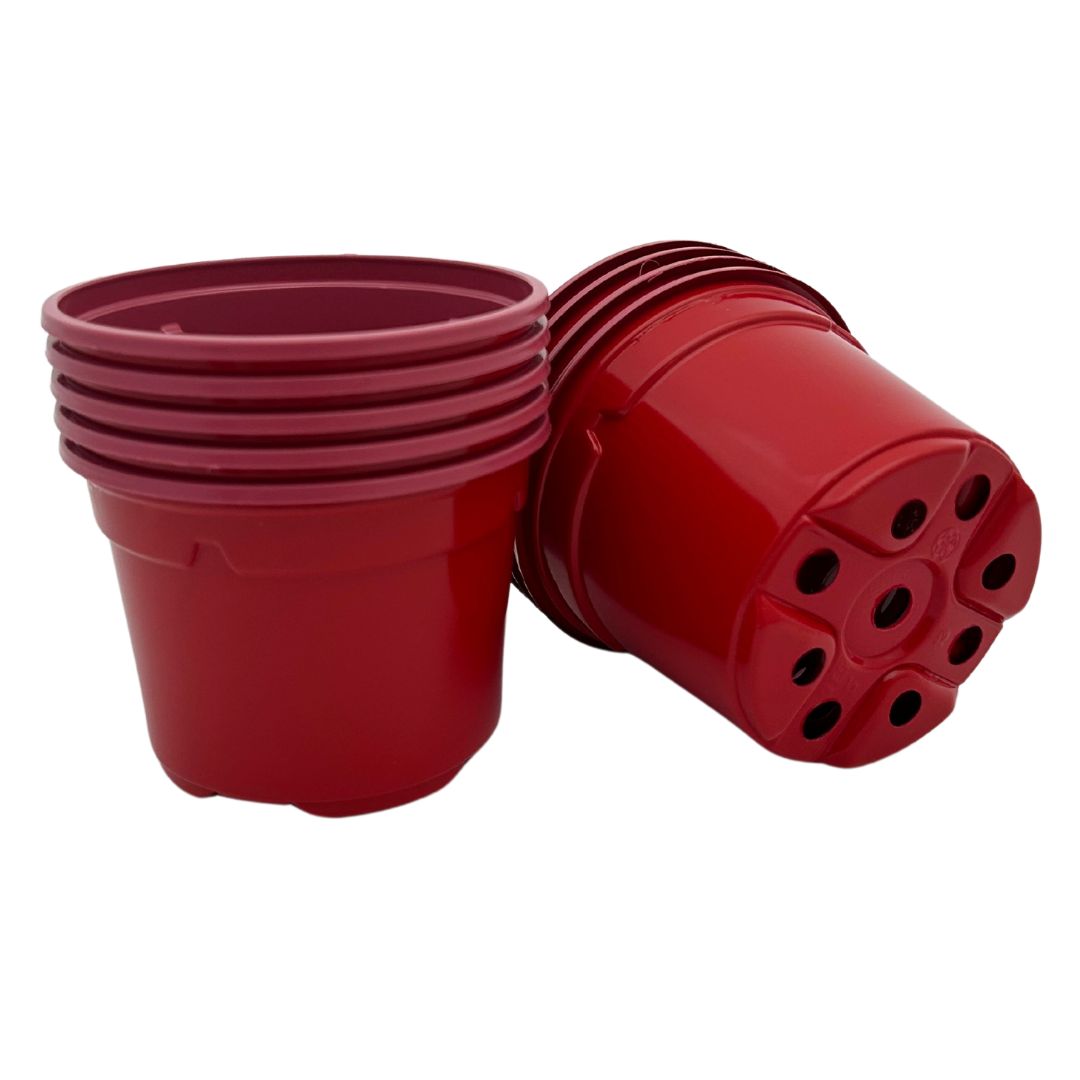 Bramley & Sage 9cm Red Coloured Pots (Set of 25)