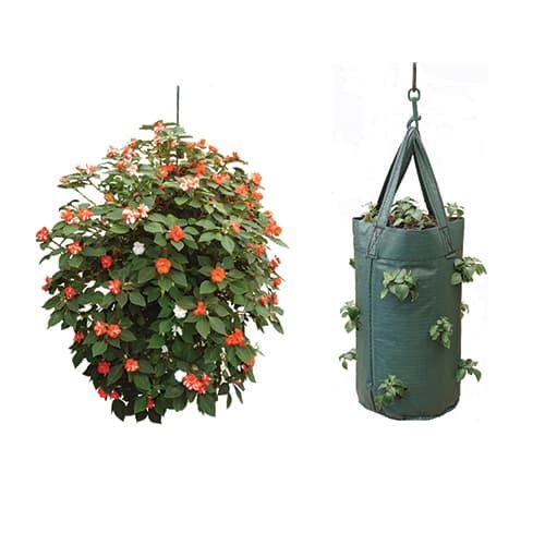 Bramley & Sage Hanging Flower Tube (Pack of 2)