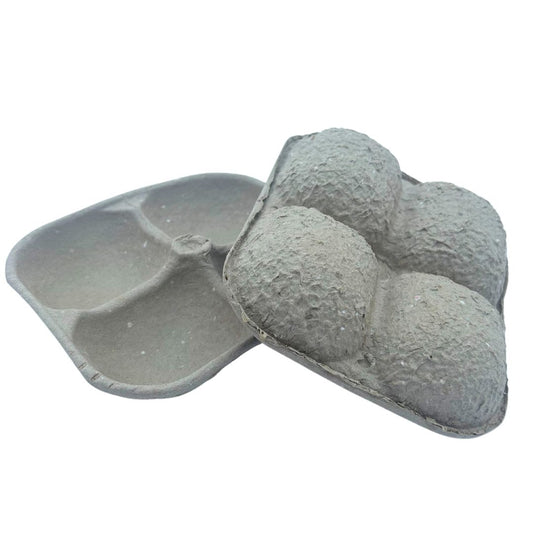 Bramley & Sage Biodegradable 4-hole Apple Produce Storage Tray