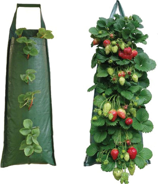 Bramley & Sage Hanging Plant Pouch (Pack of 2)